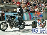 2017 08 15 OffeneRennbahn Steher IGOR BD206347