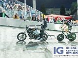 2017 07 27 OffeneRennbahn Steher IGOR BD100341
