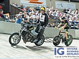 2017 07 27 OffeneRennbahn Steher IGOR BD100345