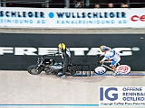 2017 08 29 OffeneRennbahn Steher IGOR BD208310