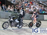 2017 08 29 OffeneRennbahn Steher IGOR BD208428