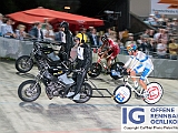 2017 08 29 OffeneRennbahn Steher IGOR BD208442