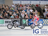 2017 08 29 OffeneRennbahn Steher IGOR BD208453