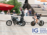 2017 08 01 OffeneRennbahn SM Steher IGOR BD201284