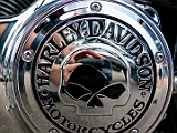 2018 08 07 OffeneRennbahn HarleyDavidson IGOR BD104216  Harley Davidson Treffen, Offene Rennbahn Oerlikon Saison 2018 am 7 August, 2018 in Offene Rennbahn Oerlikon, Oerlikon, Schweiz, Photo Credit CuPNet Photo Peter Mettler : Bahnoval, Bahnrennen, Offene Rennbahn Oerlikon, Radrennen, Velo, Velodrome Oerlikon